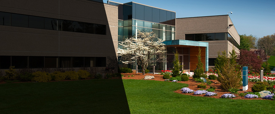 South Hamilton Landscapers